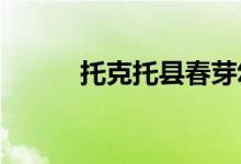 托克托县春芽幼儿园的地址在哪