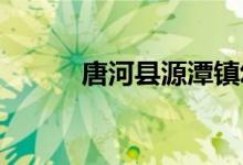 唐河县源潭镇幼儿园的地址在哪