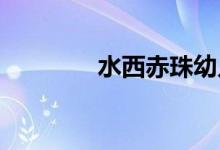 水西赤珠幼儿园的地址在哪