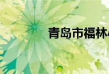 青岛市福林小学的地址在哪