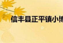 信丰县正平镇小博士幼儿园的地址在哪