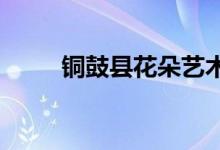 铜鼓县花朵艺术幼儿园的地址在哪