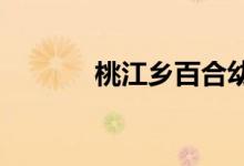 桃江乡百合幼儿园的地址在哪