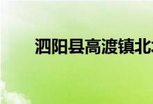 泗阳县高渡镇北圩幼儿园的地址在哪