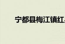 宁都县梅江镇红星幼儿园的地址在哪