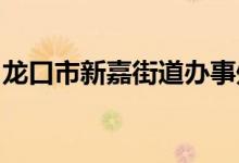 龙口市新嘉街道办事处后邹幼儿园的地址在哪