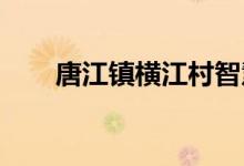 唐江镇横江村智慧幼儿园的地址在哪