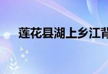 莲花县湖上乡江背村幼儿园的地址在哪