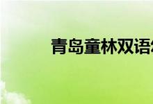 青岛童林双语幼儿园的地址在哪