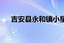 吉安县永和镇小星星幼儿园的地址在哪