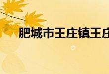 肥城市王庄镇王庄村幼儿园的地址在哪