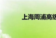 上海周浦高级中学的地址在哪