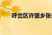 呼兰区许堡乡张井小学校的地址在哪