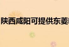 陕西咸阳可提供东菱咖啡机维修服务地址在哪