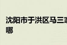 沈阳市于洪区马三家镇李茜娃幼儿园的地址在哪