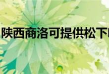陕西商洛可提供松下咖啡机维修服务地址在哪