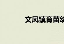 文凤镇育苗幼儿园的地址在哪