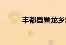 丰都县暨龙乡幼儿园的地址在哪