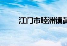 江门市睦洲镇黄布小学的地址在哪