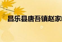昌乐县唐吾镇赵家岭村幼儿园的地址在哪