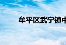 牟平区武宁镇中心小学的地址在哪
