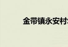 金带镇永安村幼儿园的地址在哪