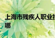 上海市残疾人职业技能培训中心总部的地址在哪