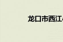 龙口市西江小学的地址在哪