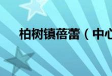 柏树镇蓓蕾（中心）幼儿园的地址在哪