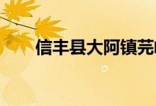 信丰县大阿镇芫峰幼儿园的地址在哪