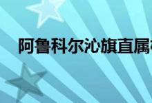 阿鲁科尔沁旗直属机关幼儿园的地址在哪