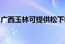广西玉林可提供松下咖啡机维修服务地址在哪