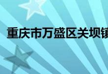 重庆市万盛区关坝镇欣欣幼儿园的地址在哪