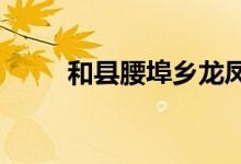和县腰埠乡龙凤幼儿园的地址在哪