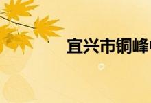 宜兴市铜峰中学的地址在哪