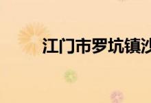 江门市罗坑镇沙岗小学的地址在哪