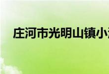 庄河市光明山镇小河沿幼儿园的地址在哪