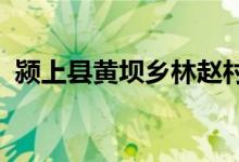 颍上县黄坝乡林赵村私立幼儿园的地址在哪
