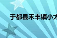 于都县禾丰镇小太阳幼儿园的地址在哪