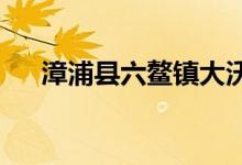 漳浦县六鳌镇大沃村幼儿园的地址在哪