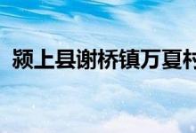 颍上县谢桥镇万夏村培蕾幼儿园的地址在哪