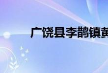 广饶县李鹊镇黄丘小学的地址在哪