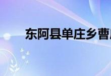 东阿县单庄乡曹庙幼儿园的地址在哪