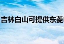 吉林白山可提供东菱电烤箱维修服务地址在哪