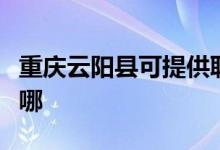 重庆云阳县可提供联创电烤箱维修服务地址在哪