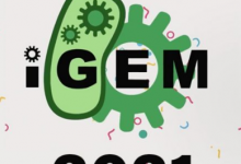 佛罗里达州立大学团队在iGEMGiantJamboree中获得银牌