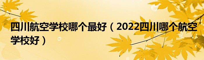 四川航空学校哪个最好（2022四川哪个航空学校好）(图1)