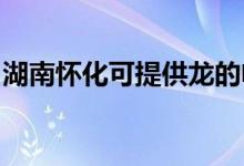 湖南怀化可提供龙的电暖器维修服务地址在哪