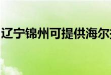 辽宁锦州可提供海尔挂烫机维修服务地址在哪