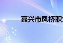 嘉兴市凤桥职业学校的地址在哪